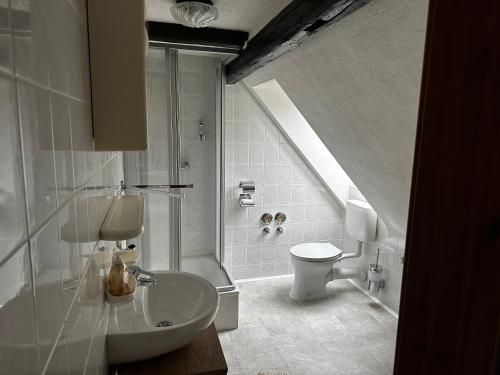 ein Bad mit einem WC, einem Waschbecken und einer Dusche in der Unterkunft Pension Zum Fäßchen in Naumburg