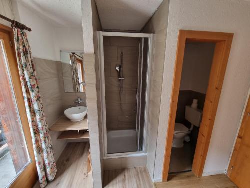 a bathroom with a shower and a sink and a toilet at Le Catogne in Orsières