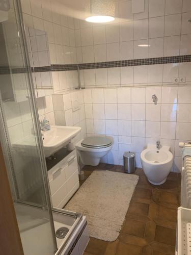 een badkamer met een toilet, een wastafel en een douche bij Ferienappartment in Pliezhausen