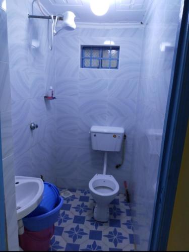 een witte badkamer met een toilet en een wastafel bij Gill's Crib in Maseno