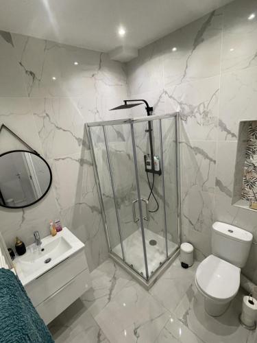 a bathroom with a shower and a toilet and a sink at Studio à 250 metres du casino de Monaco in Beausoleil