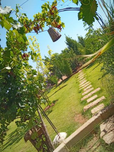 Zahrada ubytování Bio et Bois -Luxury Bio Farm-