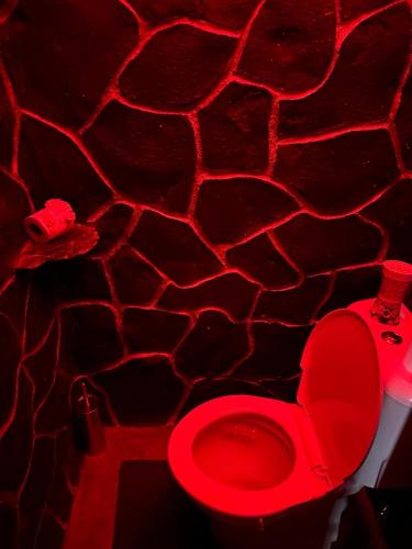 a red toilet in a bathroom with a red stone wall at Apartmán Mair Pardubice in Pardubice