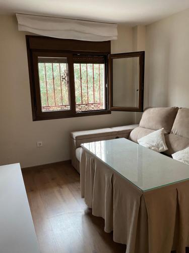 sala de estar con sofá y mesa de cristal en APARTAMENTO NEVADA en Pinos Genil