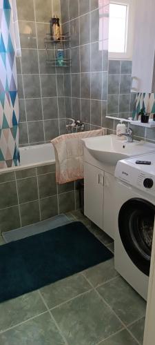 y baño con lavabo y lavadora. en Apartman 'CENTAR', en Kula