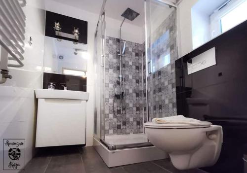 a bathroom with a shower and a toilet and a shower at Koniecznie Róża in Karpacz