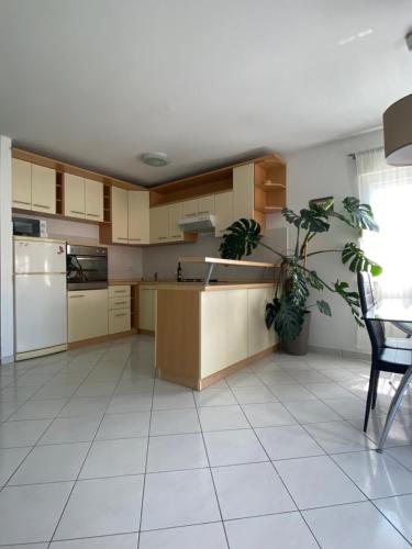 a kitchen with a counter and a table and a plant at Apartman Jadro in Solin