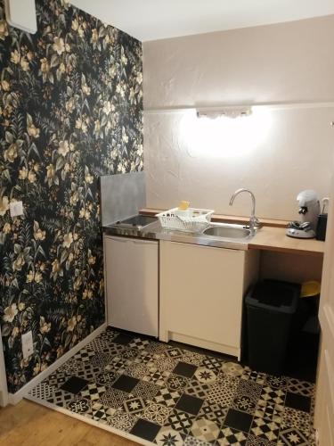 eine Küche mit einem Waschbecken und einer gemusterten Wand in der Unterkunft A La Halte Des Gorges in Nevy-sur-Seille