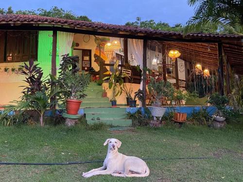 a dog sitting in the grass in front of a house at Vila Flexal Pousada I in Alter do Chao