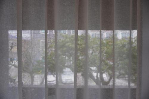 a view of a tree through a window at At corner resort & garden in Jeju