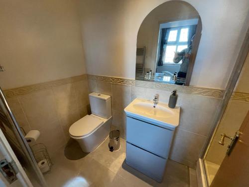 a bathroom with a toilet and a sink and a mirror at Burlington Mansions in Bournemouth