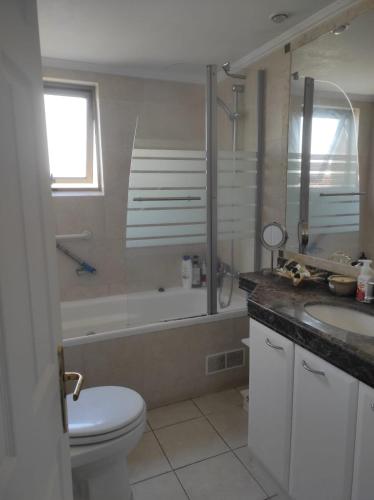 a bathroom with a toilet and a tub and a sink at Viña del mar in Viña del Mar
