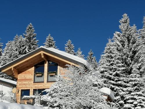 eine Hütte mit schneebedeckten Bäumen davor in der Unterkunft Chalet Bergheimat in Wagrain