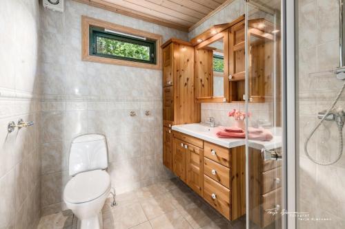 La salle de bains est pourvue de toilettes, d'une douche et d'un lavabo. dans l'établissement Ål Skisenter - Cabin with panoramic view for 8 guests, à Holo