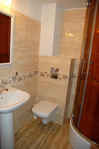 a bathroom with a toilet and a sink at Hortensja in Iława