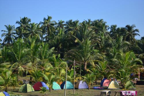 a group of tents in front of palm trees at Sea View ASHU Beach Camp in Alibaug