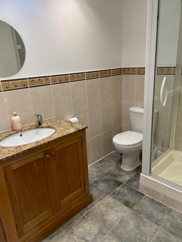 W łazience znajduje się umywalka, toaleta i prysznic. w obiekcie Rock Park Farm B&B w mieście Crediton