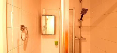 W łazience znajduje się prysznic i lustro. w obiekcie Gloucester Road Studio w Londynie