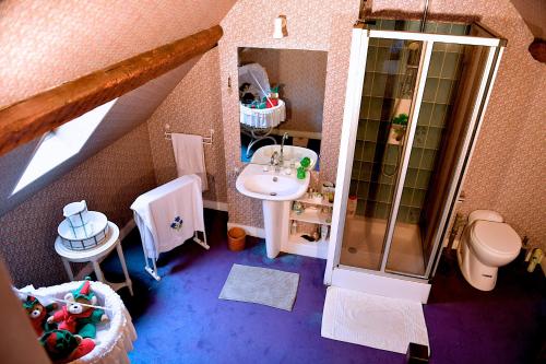 baño pequeño con ducha y lavamanos en CHAMBRES D'HÖTES DANS MAISON DE MAÏTRE DU XVIIIe SIECLE, en Houdan