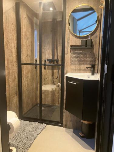 a bathroom with a shower and a sink and a mirror at Schitterend 4 persoons Tinyhouse met HOTTUB aan de bossen in Putten 4-16 in Putten