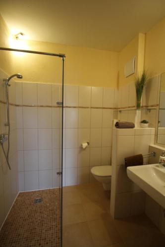 ein Bad mit einer Dusche, einem WC und einem Waschbecken in der Unterkunft Rosenhotel - Serviced Apartments in Zwentendorf