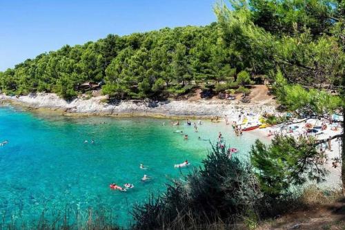 Green Oasis Pula