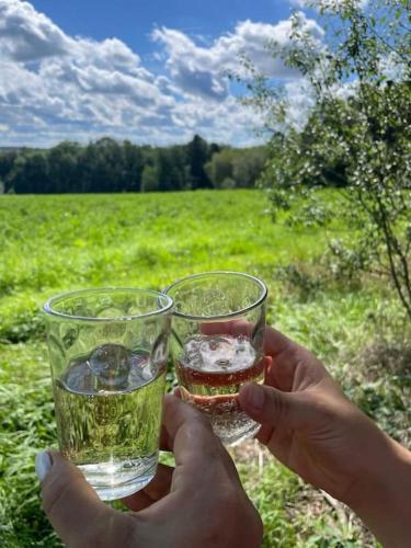 two hands holding two glasses of wine in a field at Moderne Ferienwohnung in Waldrandlage mit einem Hauch von Luxus in Burgthann