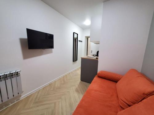 uma sala de estar com um sofá e uma televisão de ecrã plano em MYFREEDOM Апартаменти вул Євгенія Коновальця15 em Kiev