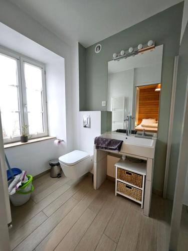 une salle de bain avec un lavabo, des toilettes et un miroir dans l'établissement Gite La Lumette, à Besse-et-Saint-Anastaise