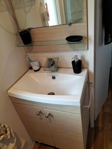 a bathroom vanity with a white sink and a mirror at Village l oasis in Puget-sur-Argens