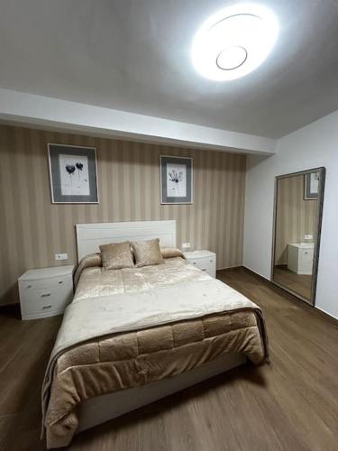 a bedroom with a large bed and a mirror at El Coso in Santa Cruz de la Zarza