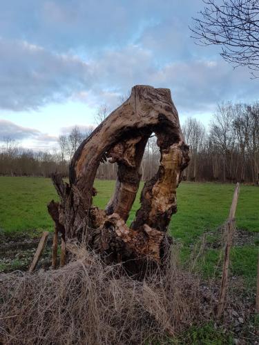 Galeriebild der Unterkunft Logis de LANGE apt les Ecureuils in Saint-Hilaire-la-Palud