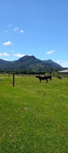 Chalé Recanto da Tiriva – Photos 4