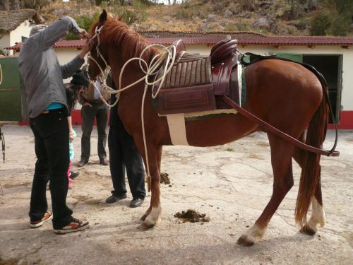 a man standing next to a brown horse at Fundo Chincheros Lodge in Juliaca