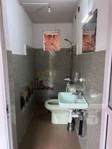 a bathroom with a sink and a toilet at La Sirena Ambositra in Ambositra