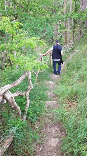 a man walking down a path in the woods at Einfachlosmachen-Zeltpunkt in Aulosen