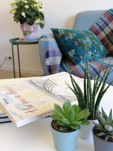 une table avec deux plantes en pot et un livre dans l'établissement La Petite Maison, à Villeconin