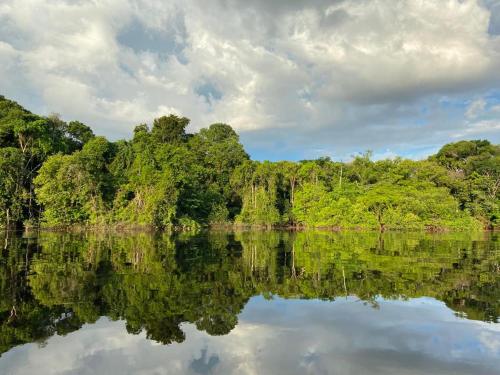 um corpo de água com árvores ao fundo em LUZ AMAZÔNIA LODGE em Iranduba