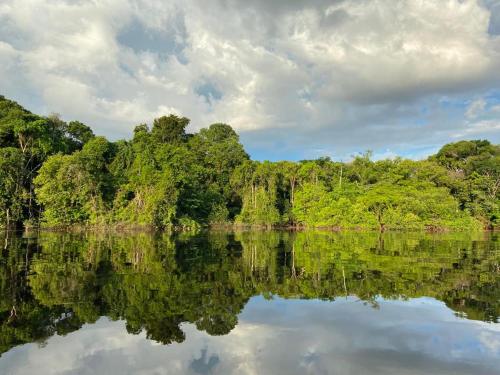 una masa de agua con árboles en el fondo en LUZ AMAZÔNIA LODGE, en Iranduba