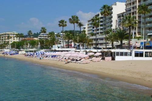 Photo de la galerie de l'établissement enjoy Provence in the best time -calm-flavours-cul, à Cannes