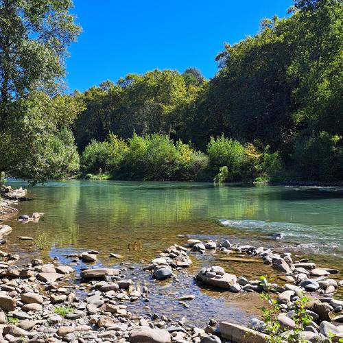 Une rivière avec un tas de rochers dans l'eau dans l'établissement La maison au bout du chemin, à Poey-dʼOloron