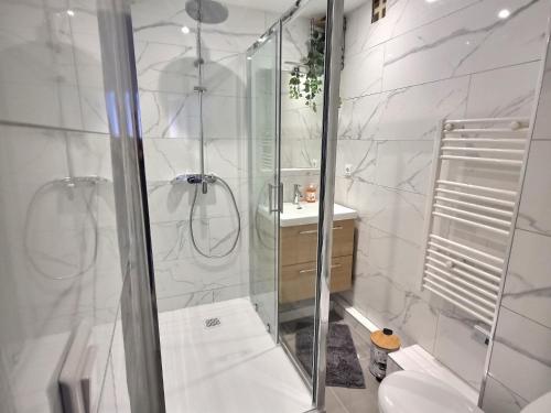 une salle de bain avec une douche, des toilettes et un lavabo dans l'établissement Appartement T3 72m2 Rénové Vieux port Marseille, à Marseille