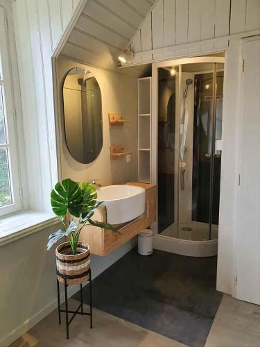 une salle de bain avec une baignoire et une douche et une plante dans l'établissement Les Tortues, maison bord de mer, plage à 200 m, à Plougasnou