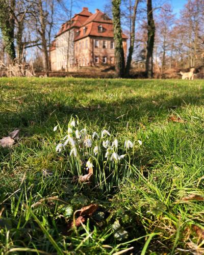 a bunch of flowers in the grass in front of a house at Hotel zur Schlossmühle in Borna