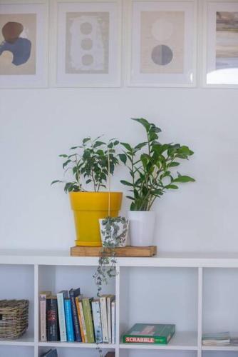 a shelf with two potted plants and books on it at Alethea's Sea View Apartment in Kalamaki