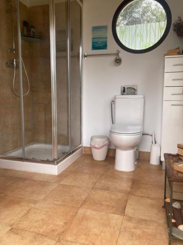 a bathroom with a shower and a toilet at Casa del Buho in Chiclana de la Frontera