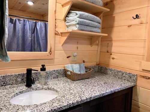 ein Badezimmer mit Waschbecken und Spiegel in der Unterkunft Cozy Bear Mountain Tiny House in Travelers Rest