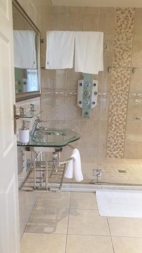a bathroom with a sink and a shower at The Palace in Izinga Estate Umhlanga in Durban