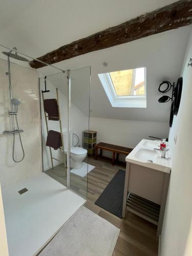 une salle de bain avec une douche, des toilettes et un lavabo dans l'établissement Maison bord de Marne pour 10 personnes avec jacuzzi, à Châlons-en-Champagne