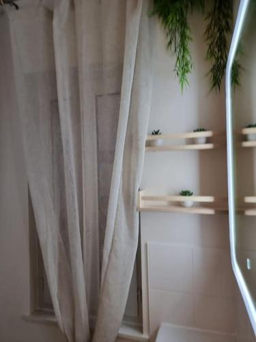 La salle de bains est pourvue d'un rideau de douche. dans l'établissement Studio l’eden, à Moulins